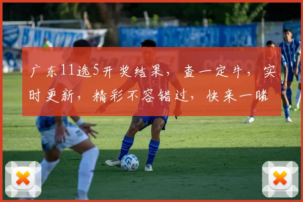 广东11选5开奖结果，查一定牛，实时更新，精彩不容错过，快来一睹为快