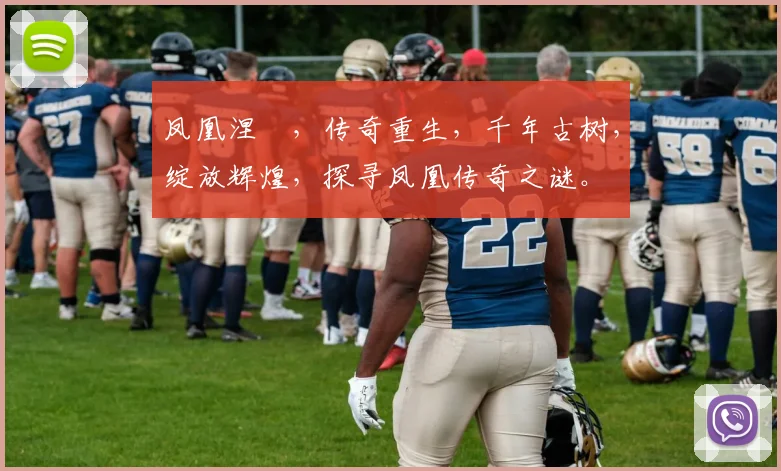 凤凰涅槃，传奇重生，千年古树，绽放辉煌，探寻凤凰传奇之谜。