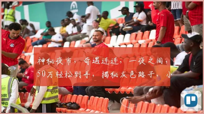 神秘夜市，奇遇连连，一夜之间，50万轻松到手，揭秘灰色路子，小心谨慎行