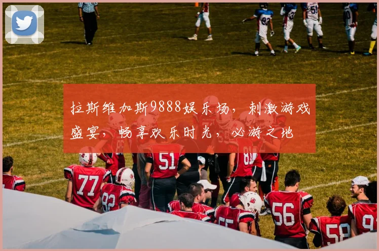 拉斯维加斯9888娱乐场，刺激游戏盛宴，畅享欢乐时光，必游之地