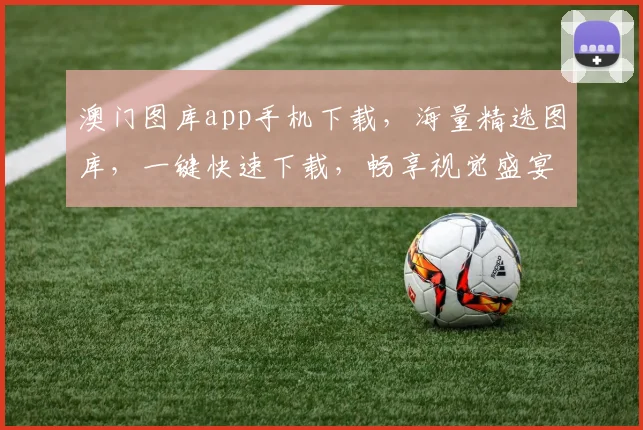 澳门图库app手机下载，海量精选图库，一键快速下载，畅享视觉盛宴，不容错过
