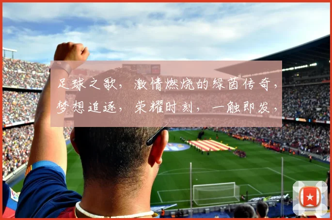 足球之歌，激情燃烧的绿茵传奇，梦想追逐，荣耀时刻，一触即发，热力四溢